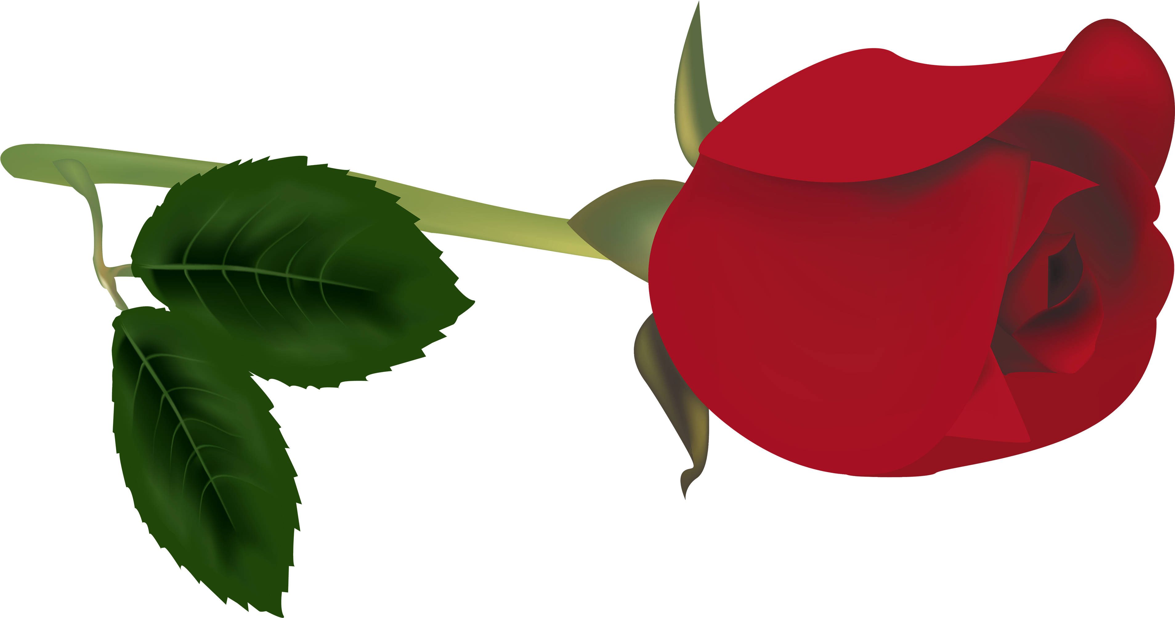 Rose Clipart At Getdrawings - Capullo De Rosa Png Transparent Png (4000x2136), Png Download