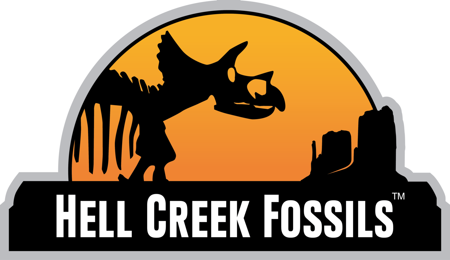 Fossil Clipart Archeologist - Graphic Design - Png Download (1500x865), Png Download