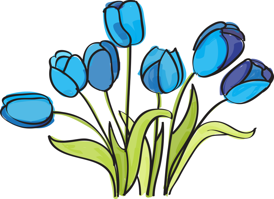 Birthday Wishes - Clip Art - Png Download (1037x754), Png Download