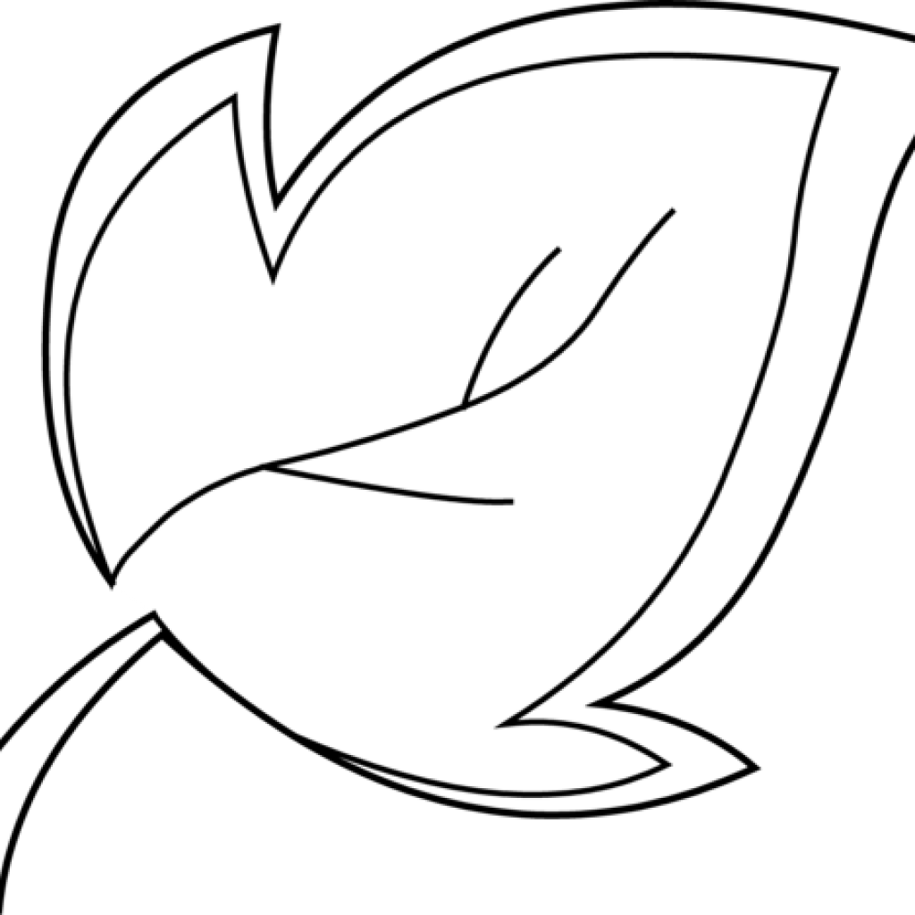 Clipart Leaf Outline 1 - Clip Art - Png Download (1024x1024), Png Download