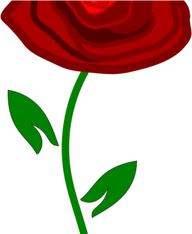 Red Rose Clipart Www Love - Rosa Vermelha Bela Png Transparent Png (640x480), Png Download