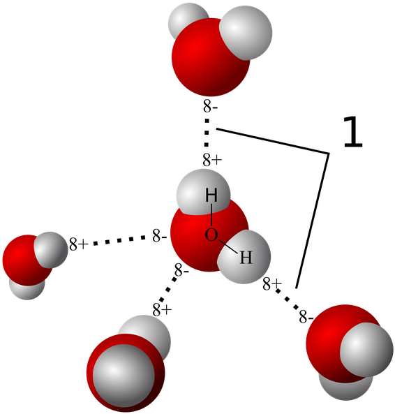 Molecule Clipart Water Molecule - Hydrogen Bonding - Png Download (602x597), Png Download