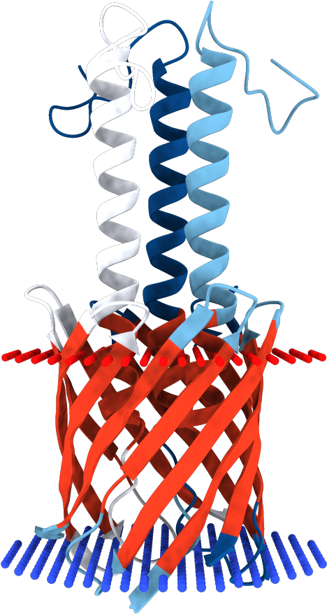 2lme Clipart (1000x1000), Png Download