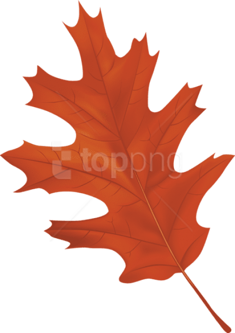 Free Png Download Brown Autumn Leaf Clipart Png Photo - Autumn Leaf Clipart Png Transparent Png (481x681), Png Download
