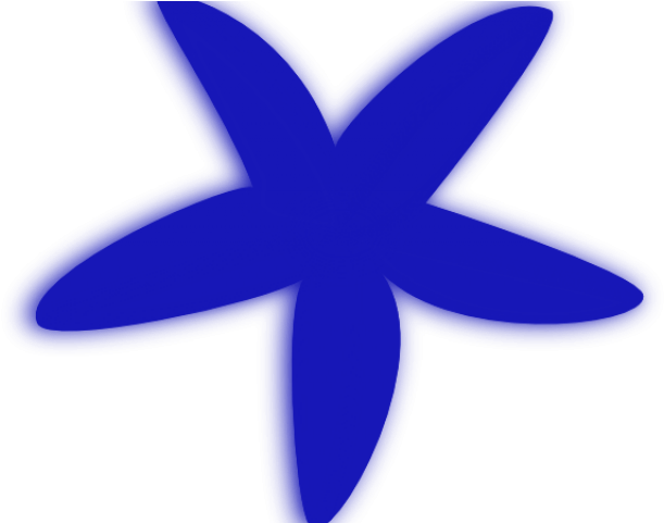 Starfish Clipart Cute Colorful - Png Download (640x480), Png Download