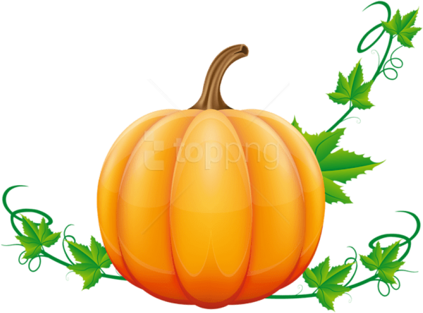 Free Png Download Pumpkin Clipart Png Photo Png Images - Pumpkin Png Clip Art Transparent Png (850x628), Png Download