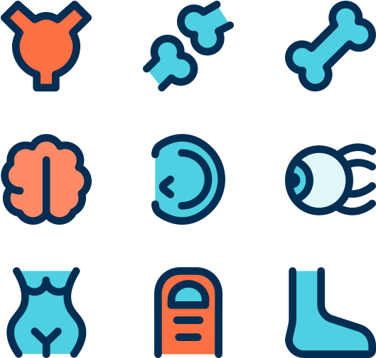 Body Parts Clipart (600x564), Png Download
