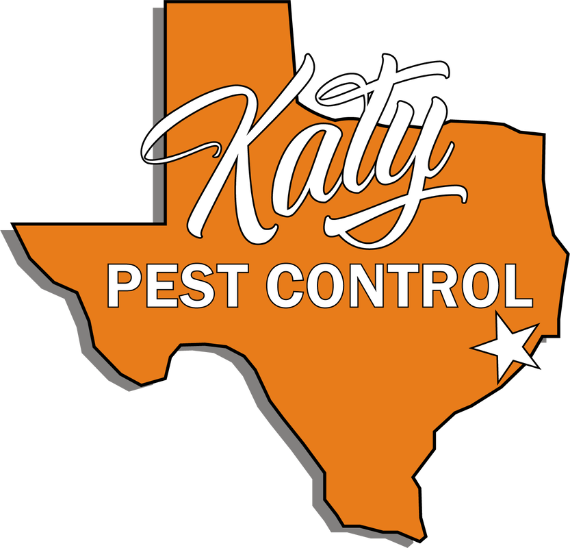 Katy Termite Protection Services Clipart (833x800), Png Download