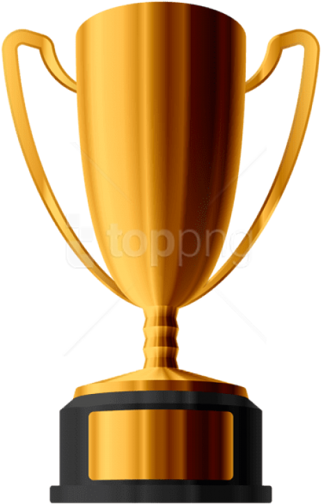Free Png Download Bronze Cup Trophy Clipart Png Photo - Trophy And Medal Png Transparent Png (480x741), Png Download