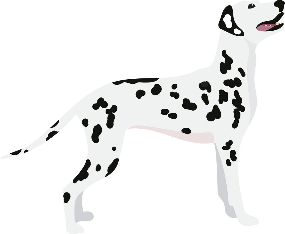 This Is A Buncee Sticker - Dalmatian Clipart (972x800), Png Download
