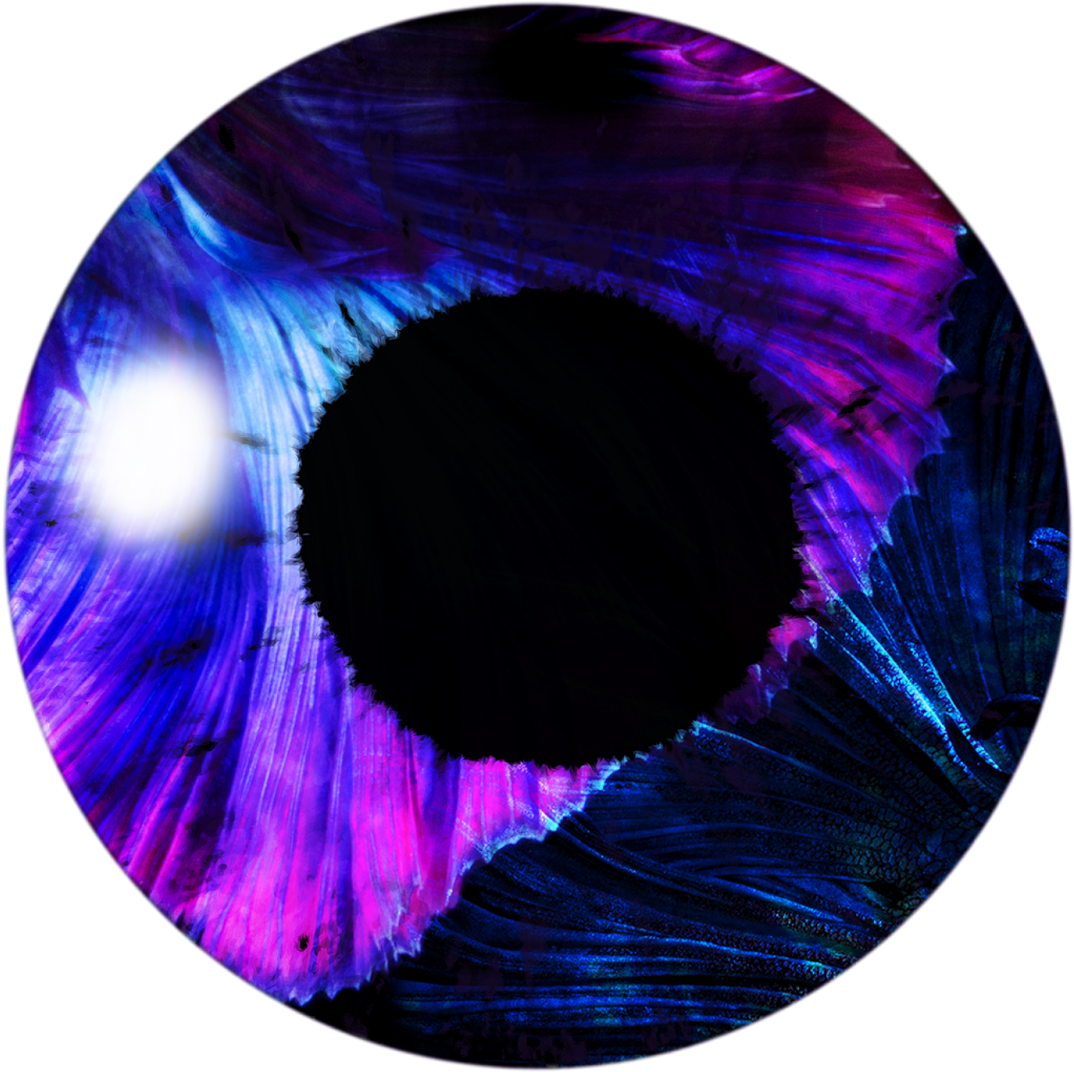 Mreditor Ps 91 - Circle Clipart (1600x1200), Png Download