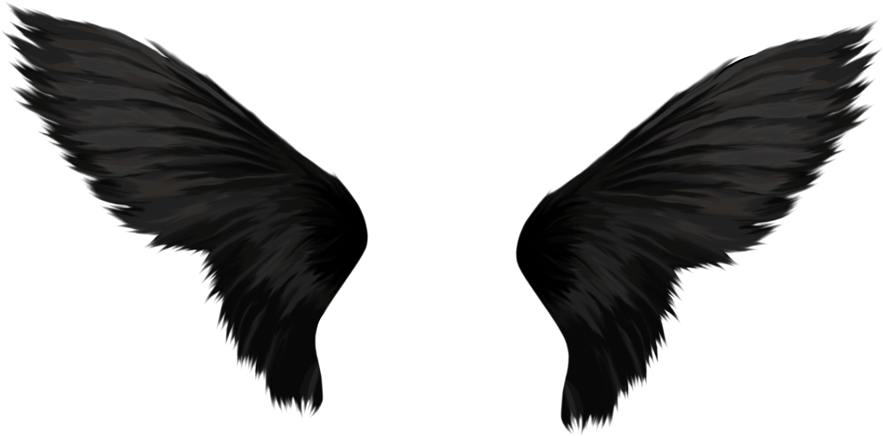 Black Wings Png Clipart (850x419), Png Download