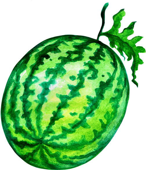 Watermelon Clipart (866x650), Png Download