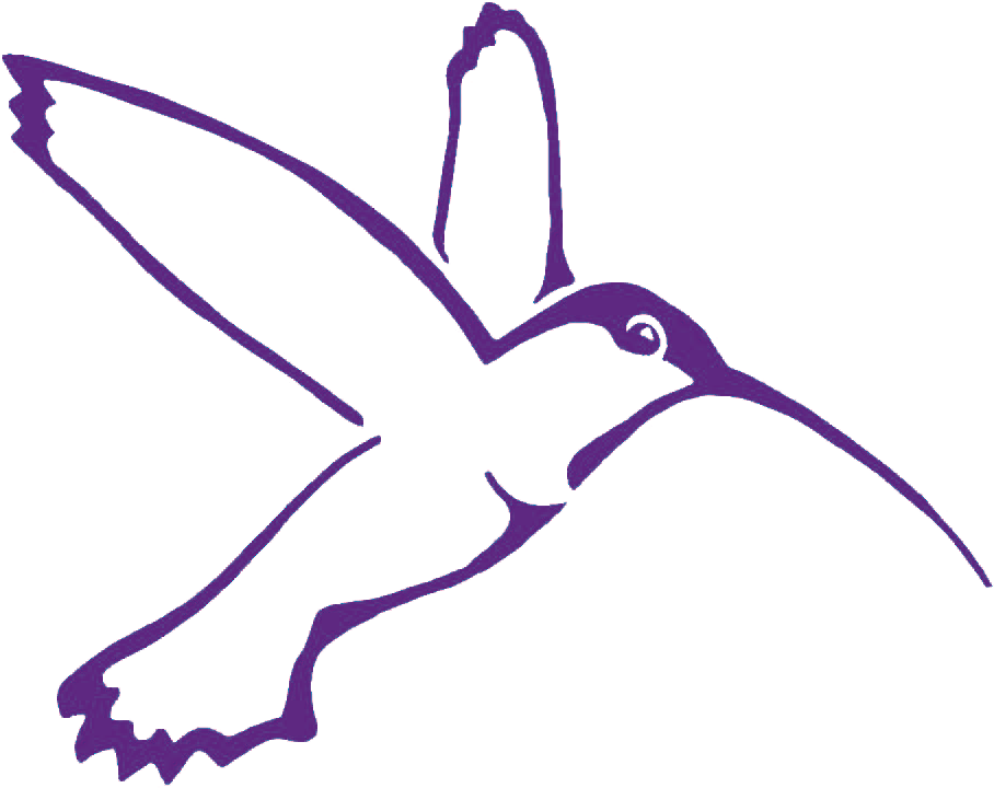 Colibri Facilitation Bringing Ideas To Life Through - Hummingbird Clipart (971x777), Png Download