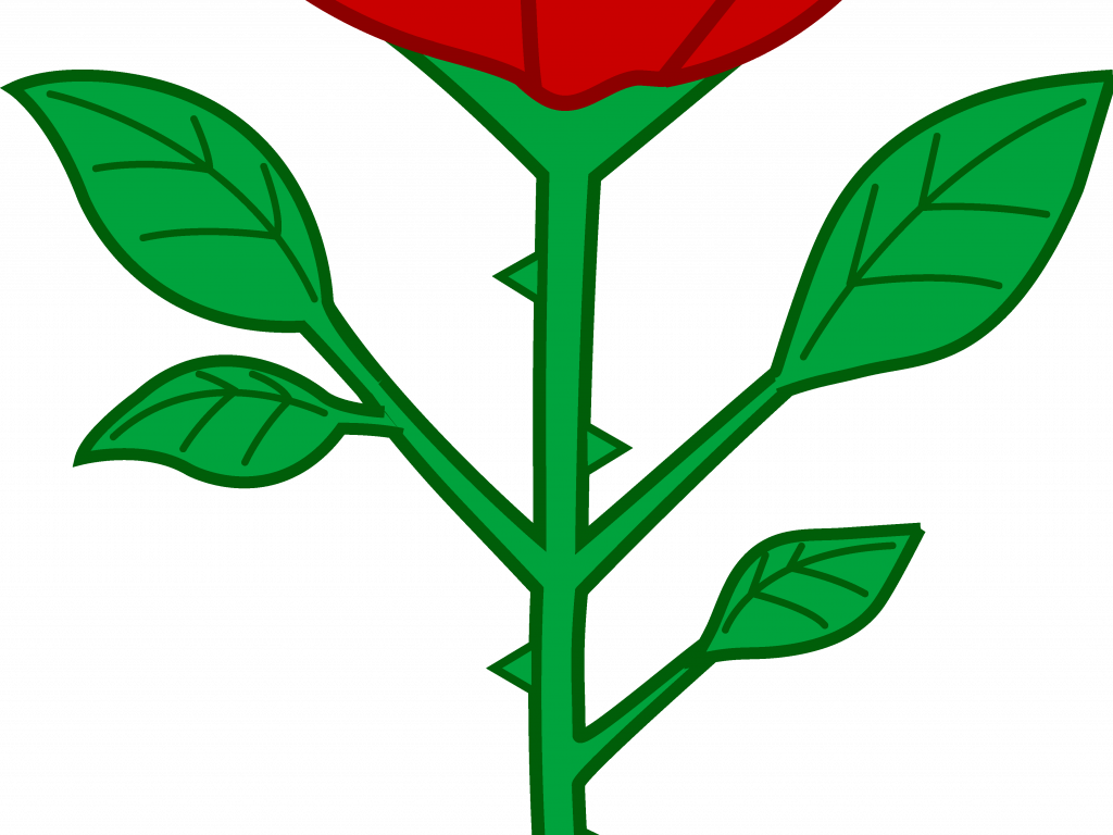 Download Rose Clip Art - Cartoon Rose Clipart Png Transparent Png (1024x768), Png Download