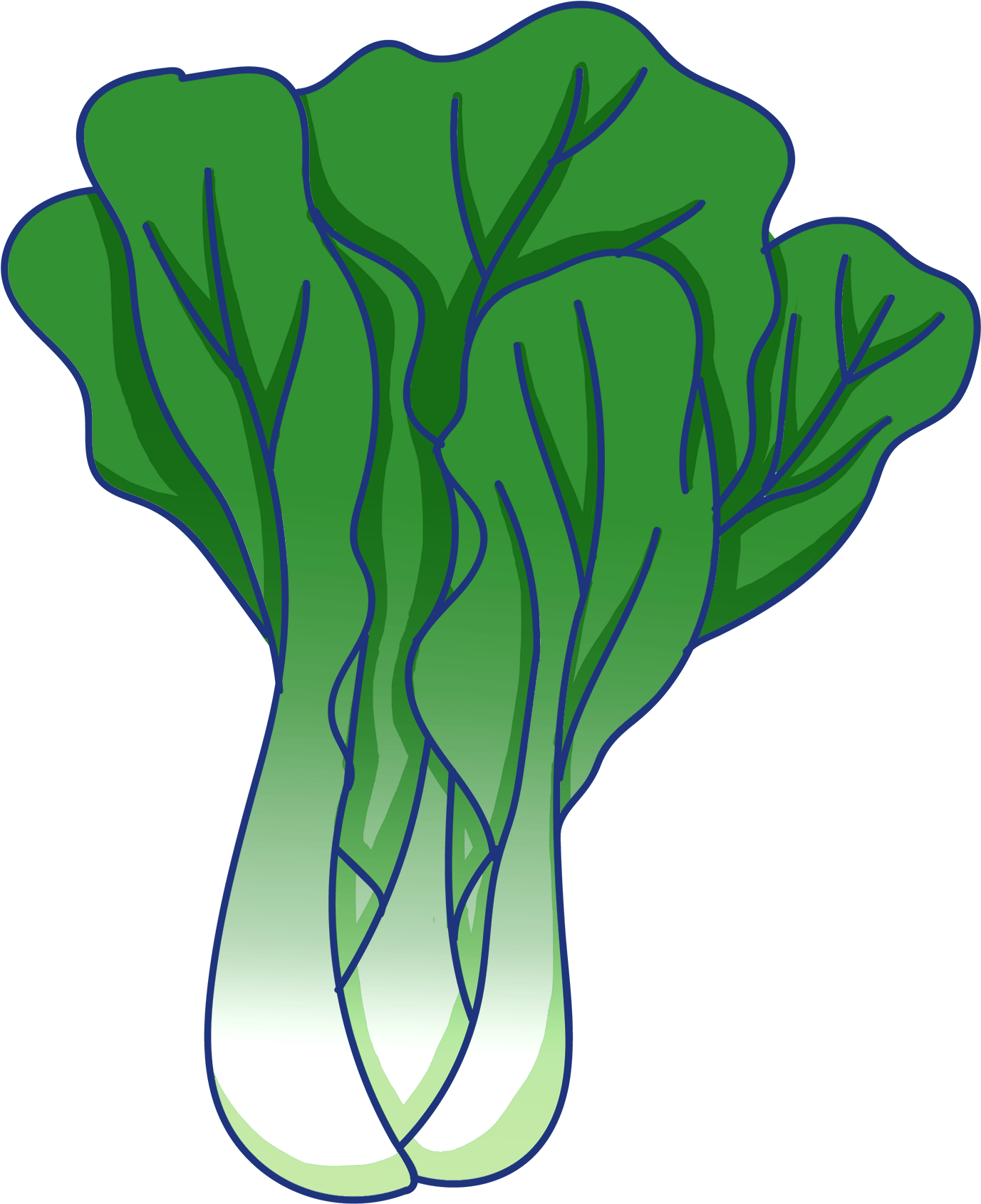 Vegetable Leaf Green Rapeseed Food Png And Psd - Hinh Ve Rau Cai Clipart (2000x2000), Png Download