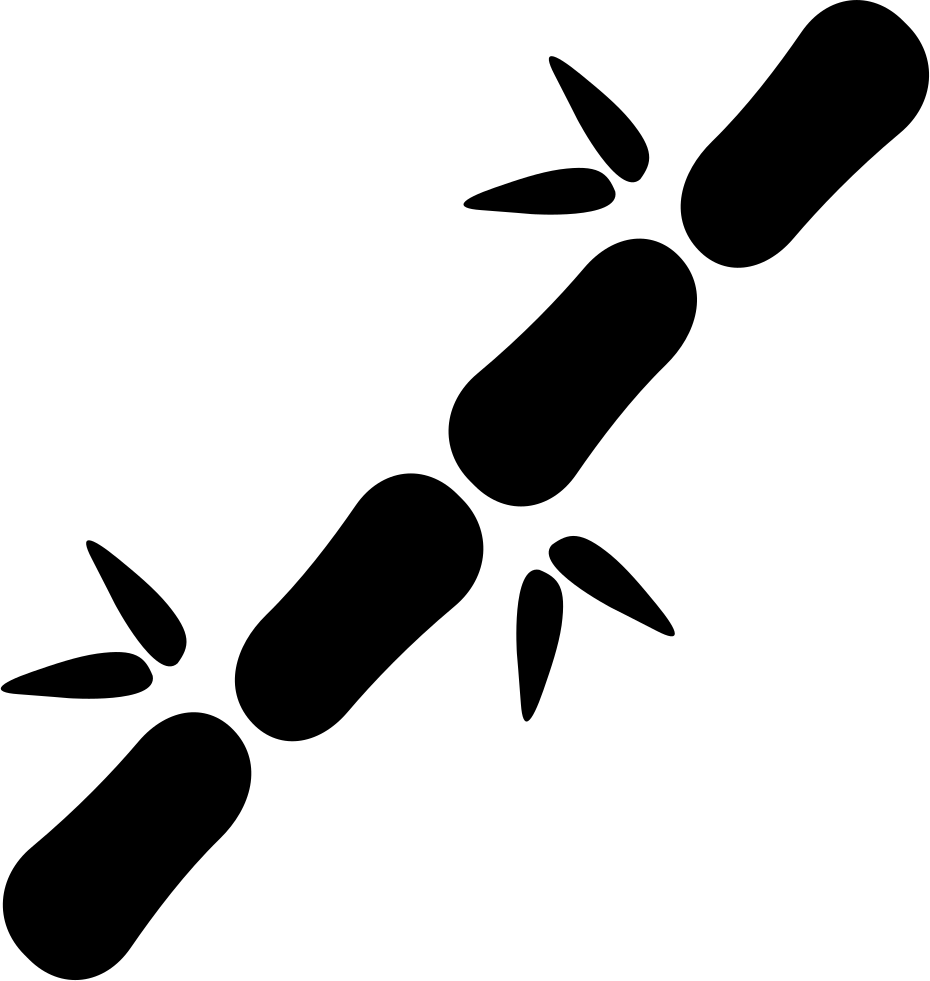 Bamboo Stick Comments - Portable Network Graphics Clipart (930x981), Png Download