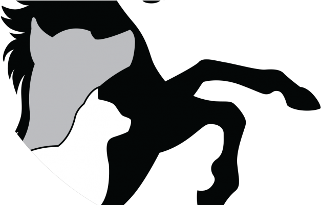 The Animal Care Shop Your Pets Deserve Your Best Find Clipart (900x400), Png Download