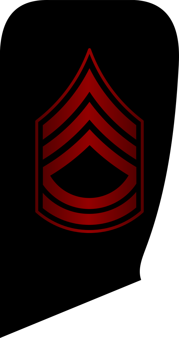 Equivalent Us Rank, Master Chief Petty Officer - ناواستوار یکم Clipart (603x1136), Png Download