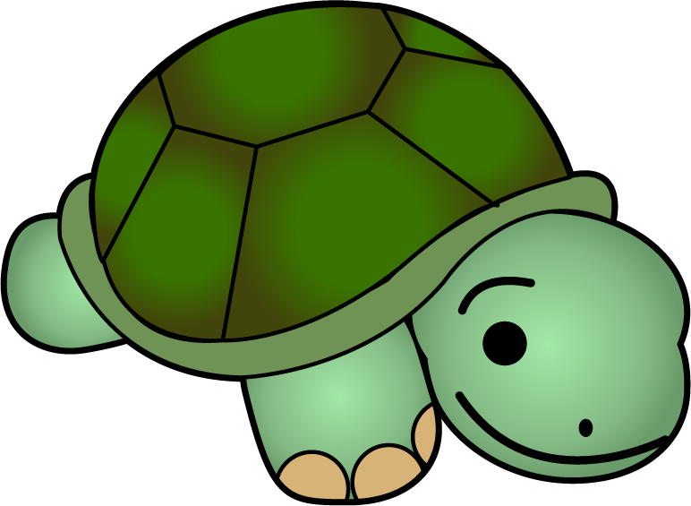 Cute Turtle Clip Art Free Clipart Images - Clip Art Of A Turtle - Png Download (772x565), Png Download