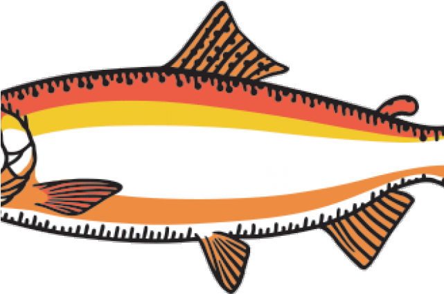 Salmon Clipart Orange Fish - Png Download (640x480), Png Download