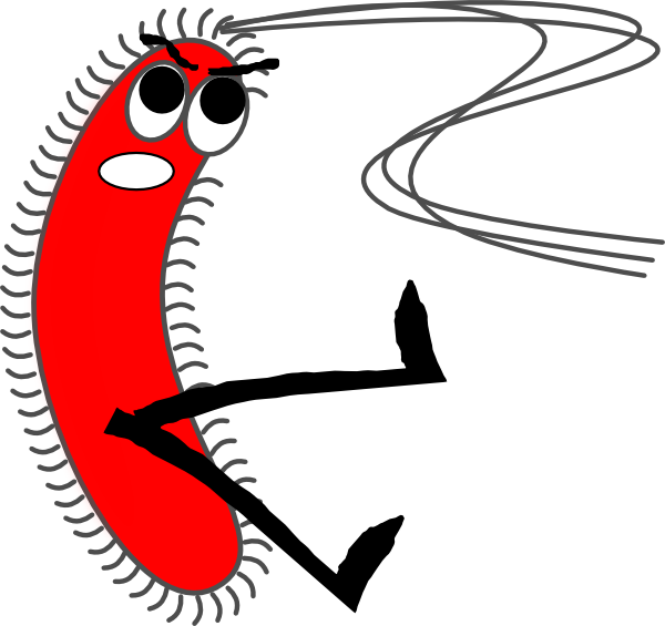 Bacteria Clipart Png Transparent Png (600x565), Png Download