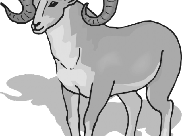 Bighorn Sheep Clipart - Bighorn Ram Head Clipart - Png Download - Full