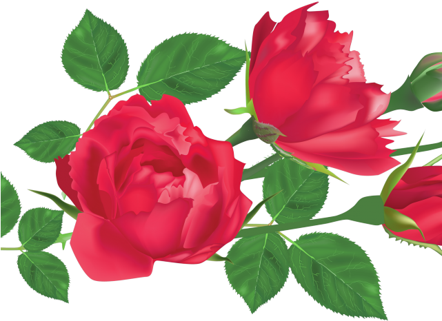 Red Rose Clipart Leaf Png - Png Rose Leaf Transparent Png (640x480), Png Download