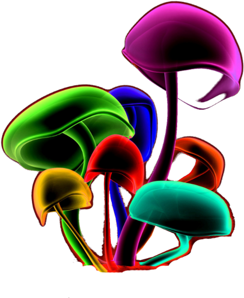 960 X 600 6 - Psilocybin Mushrooms Png Clipart (960x600), Png Download