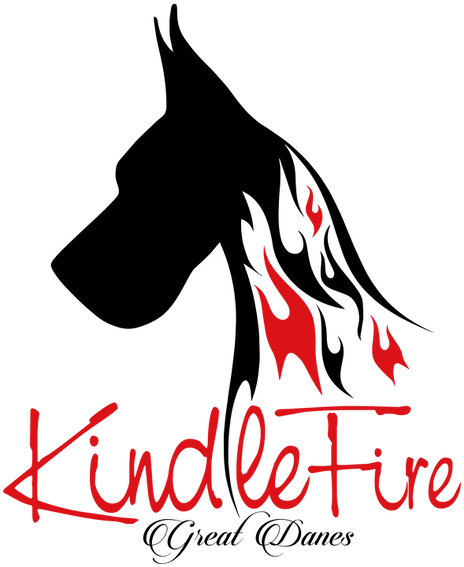 Home To Akc Conformation & Performance Great Danes Clipart (591x591), Png Download