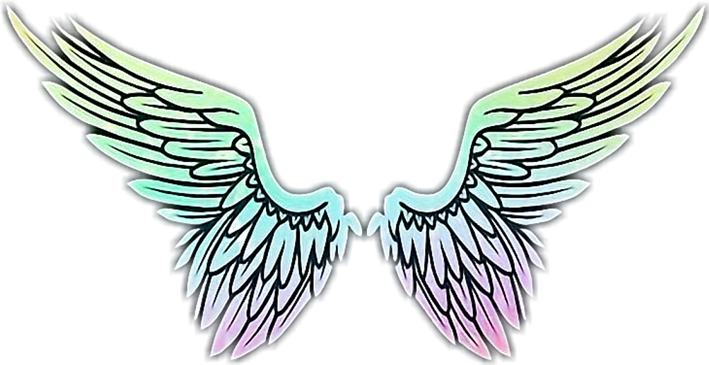 #wings #angel #flügel #engel #engelflügel #schön #beautiful - Les Anges De La Téléréalité Clipart (1024x527), Png Download