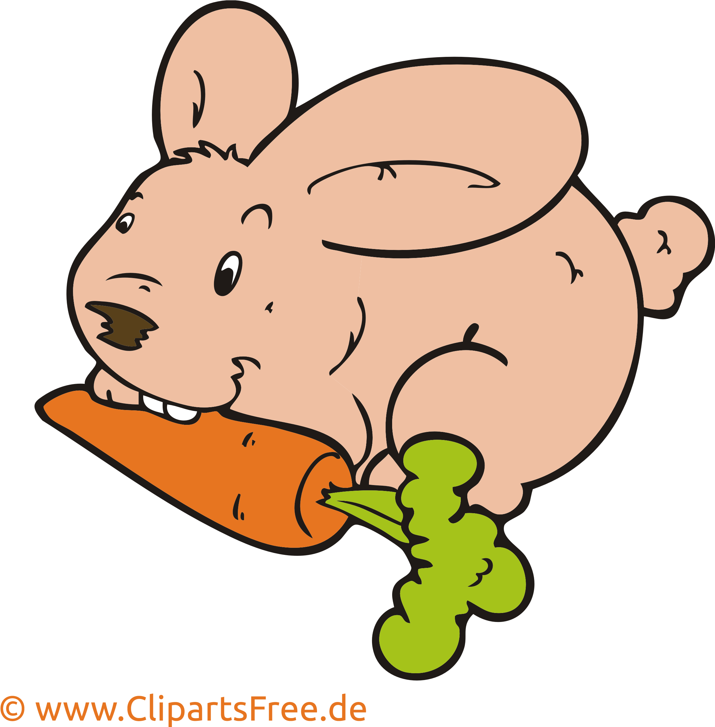 Kaninchen Clipart, Bild, Cartoon, Grafik, Illustration - Coloring Book - Png Download (2551x2551), Png Download