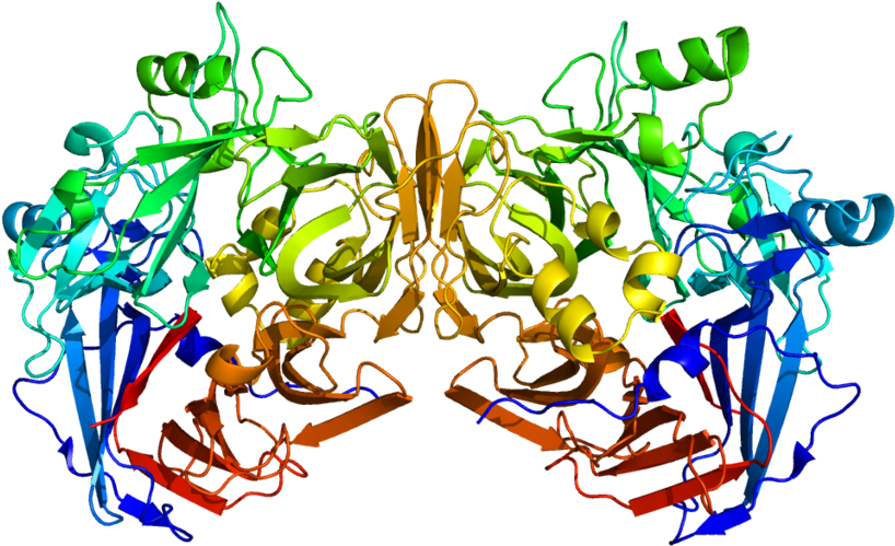 Greg Laden's Blog - Rpe65 Gene Clipart (1024x853), Png Download