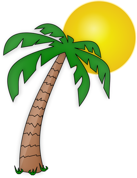 Die Untere Ist Für Mamas - Transparent Background Palm Tree Clipart - Png Download (500x634), Png Download