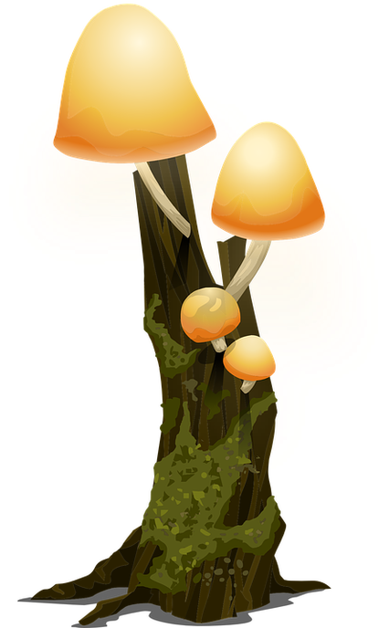 Hier - Arboles Del Bosque Png Clipart (500x690), Png Download