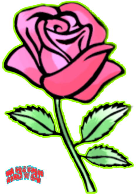 Rose Flowers Images Drawing Clipart (480x666), Png Download