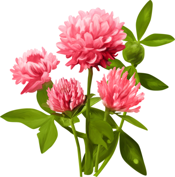 Clipart, Hintergründe, Mesas, Blume - Zolynelis, Specialusis Lopselis-darzelis - Png Download (600x608), Png Download