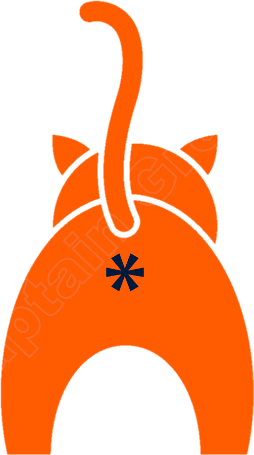 3 Replies 1 Retweet 20 Likes - Cats Bum Clip Art - Png Download (655x1000), Png Download