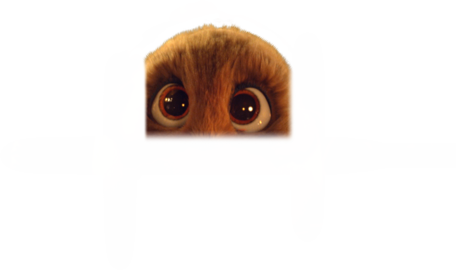 Netto - Owl Clipart (1920x1920), Png Download