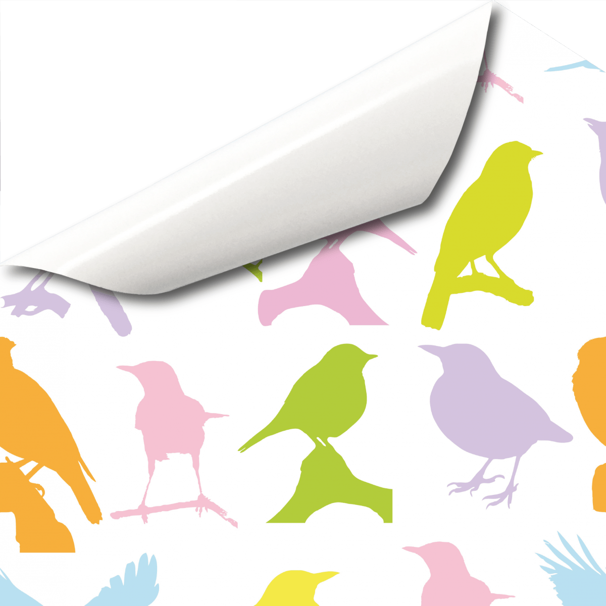 Bunte Vögel Klebefolie Dekor Muster Dekorfolie - Illustration Clipart (1200x1200), Png Download