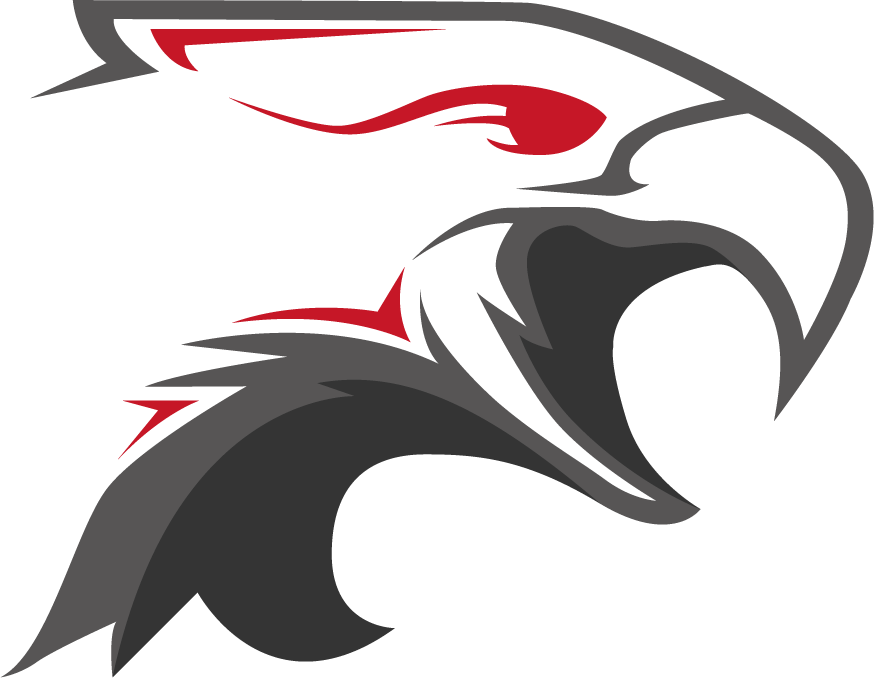 Dark Sided - Dark Sided Logo Png Clipart (874x678), Png Download