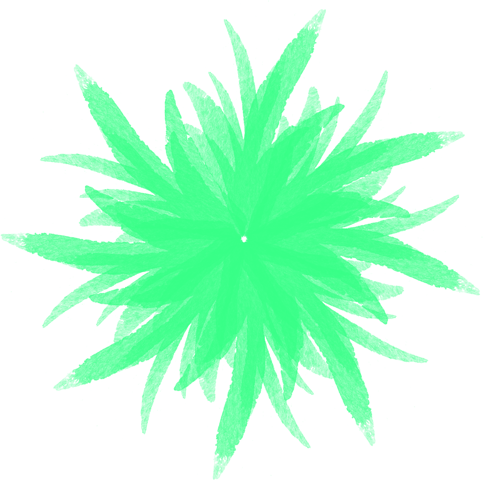 Watercolor Flowers Patterns Simplicity Fresh Png And - Grass Clipart (2000x2000), Png Download