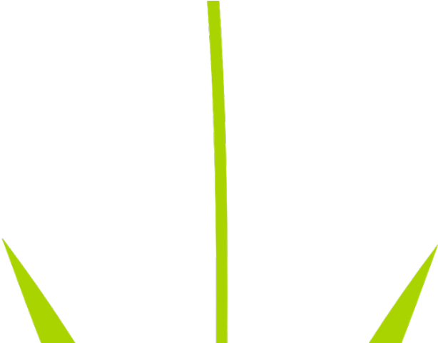 Flowers Clipart Transparent Background - Grass - Png Download (640x480), Png Download