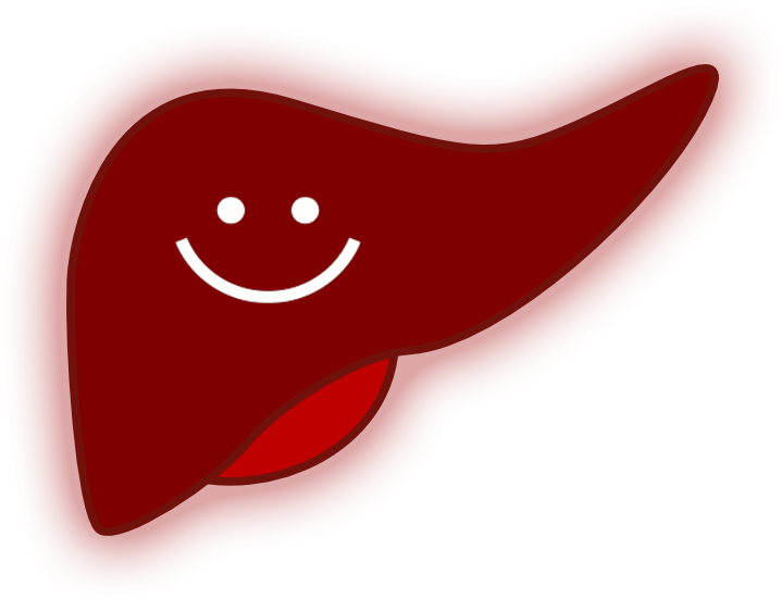 Fruits Good For Liver Clipart (1080x800), Png Download