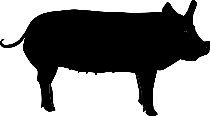 By Algotruneman - Donkey Clipart (800x444), Png Download