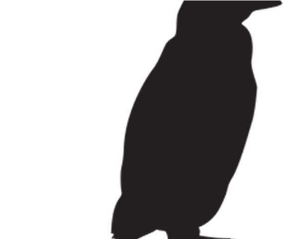 Adã©lie Penguin Clipart (640x480), Png Download