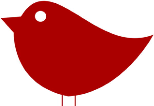 Turkey Bird Clipart Easy Turkey - Perching Bird - Png Download (640x480), Png Download