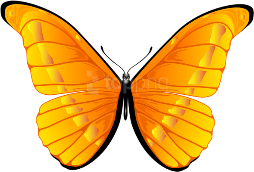 Free Png Download Orange Butterfly Clipart Png Photo - Yellow Orange Butterfly Png Transparent Png (850x576), Png Download