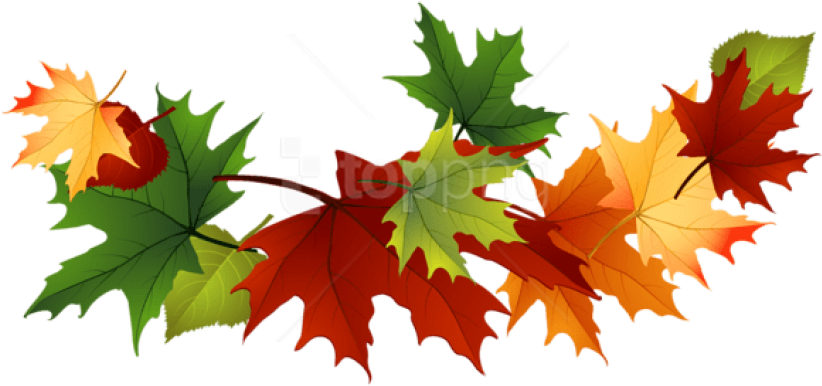 Free Png Download Fall Transparent Leaves Clipart Png - Transparent Background Fall Leaves Clip Art (850x431), Png Download