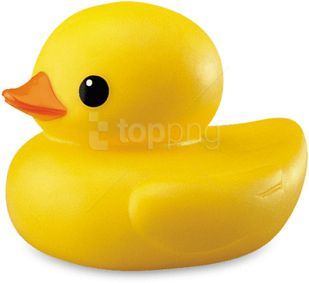 Free Png Download Plastic Duck Png Images Background - Transparent Background Duck Png Clipart (850x628), Png Download